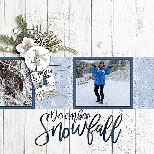 Snow-Day.jpg