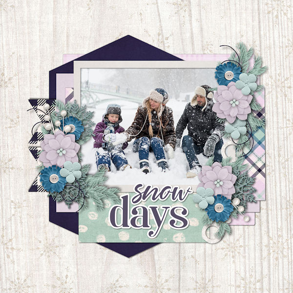 Snow Day