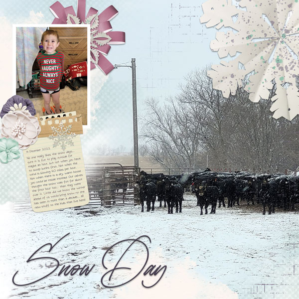 Snow Day