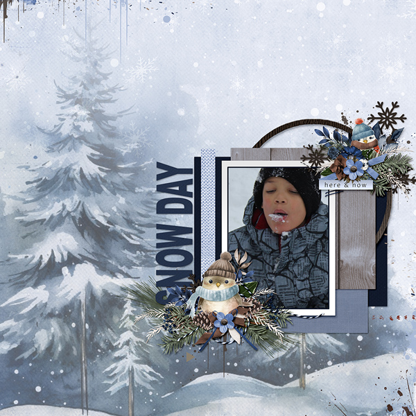Snow Day