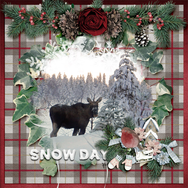 Snow-day11