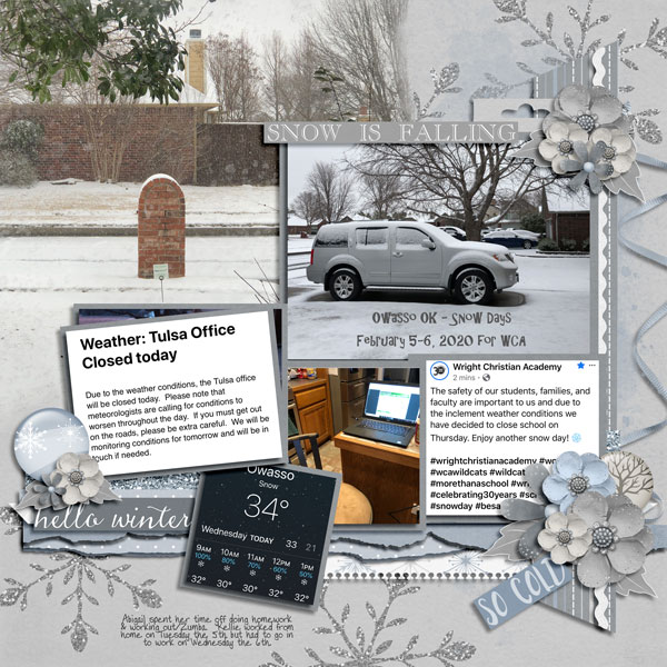 Snow Days 2.5.20