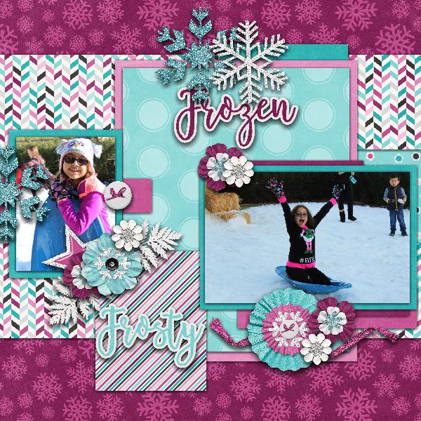 Snow days Fun