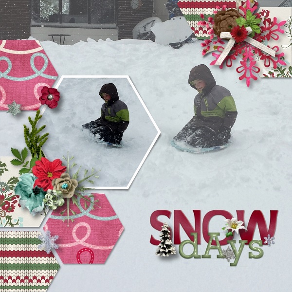 Snow Days