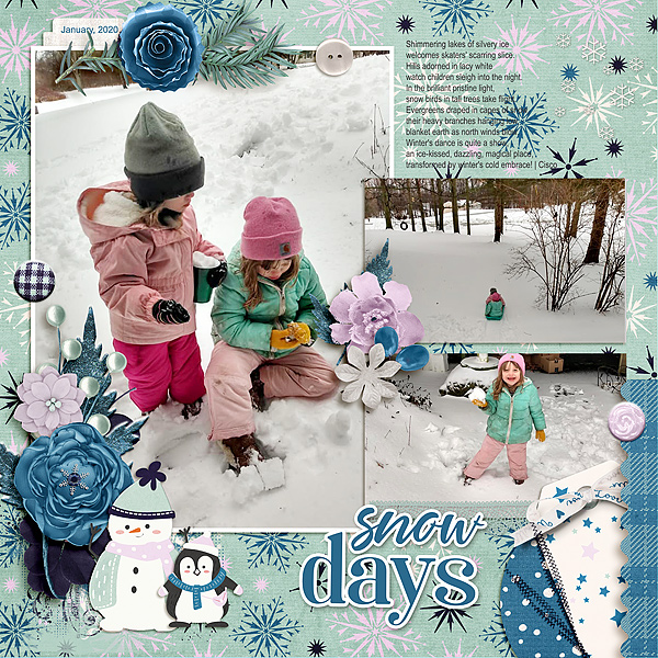 Snow Days