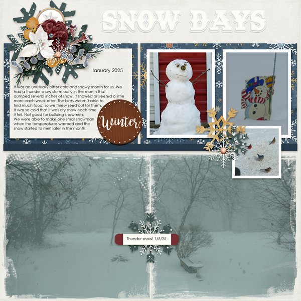 Snow Days