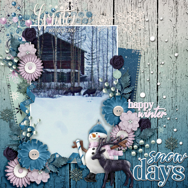 Snow-days3