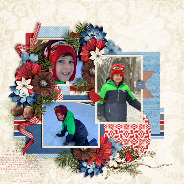 Snow-Days4
