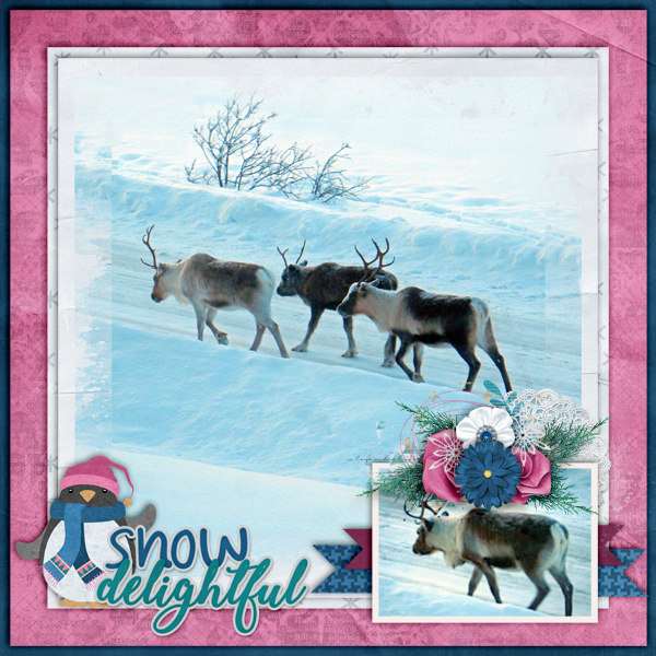 Snow-delightful