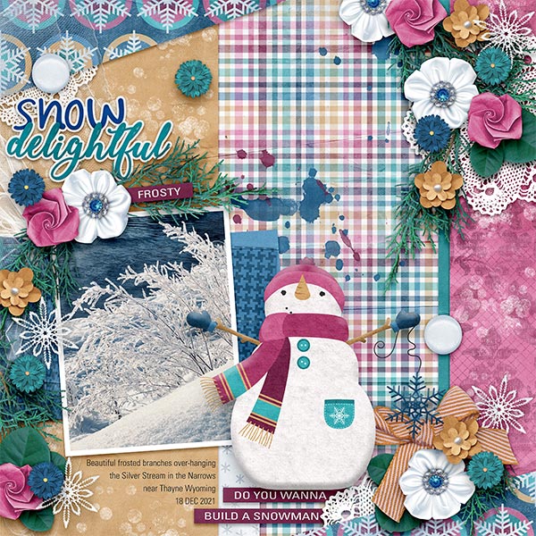 SNOW DELIGHTFUL