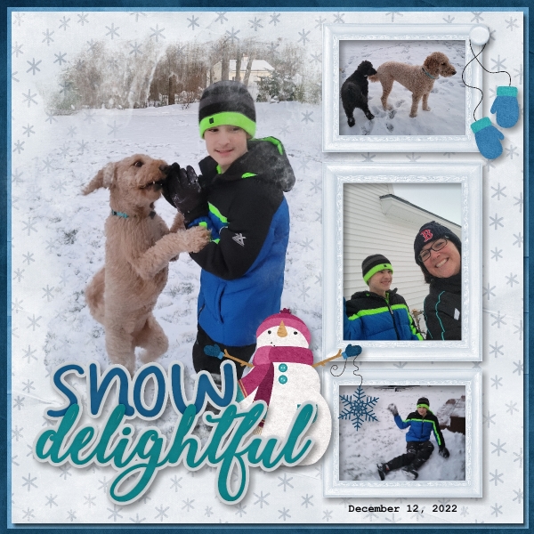 Snow Delightful