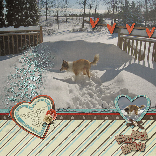 Snow Dog