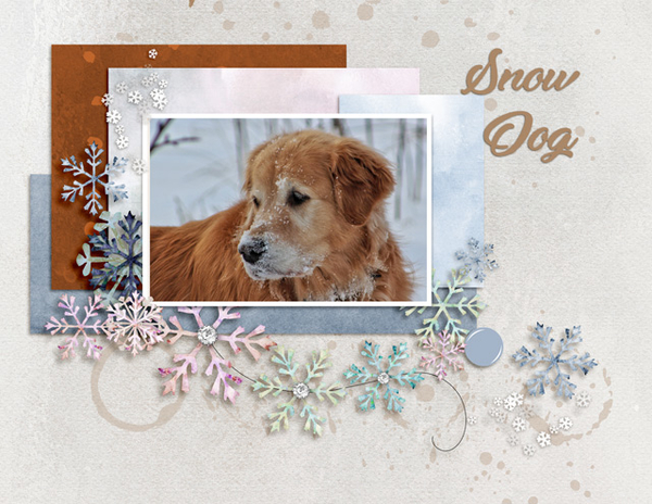 Snow Dog
