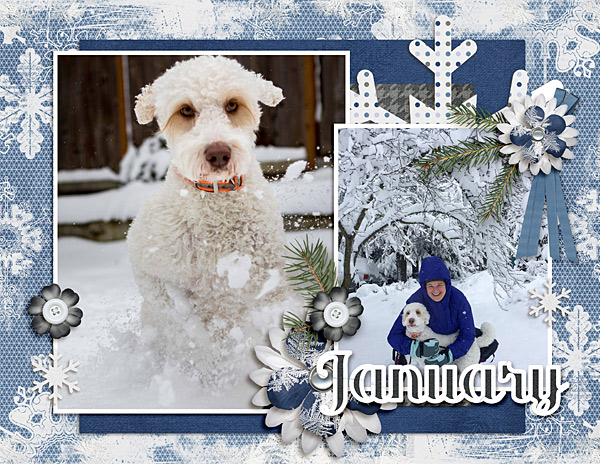 Snow Dog