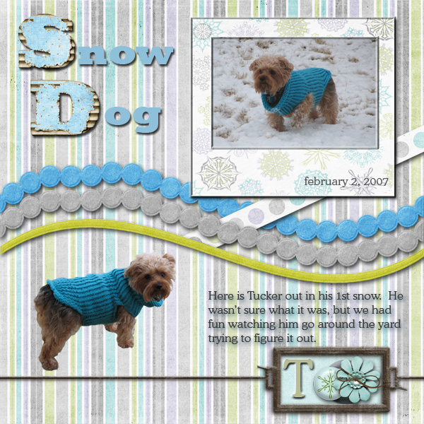 Snow Dog
