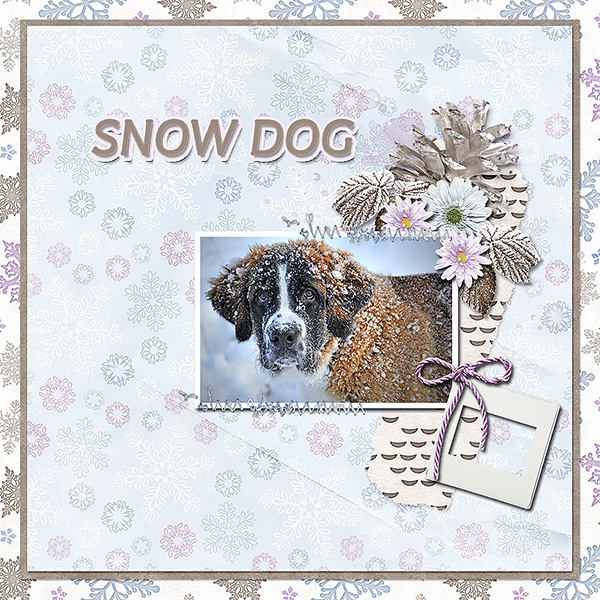 Snow Dog