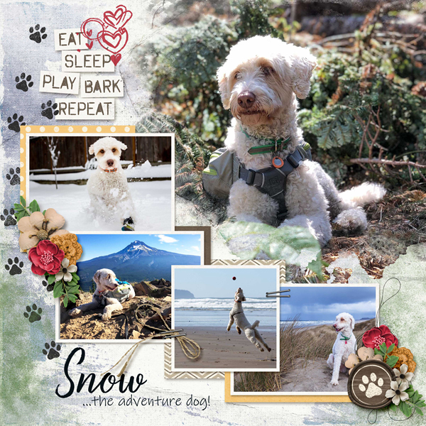Snow Dog