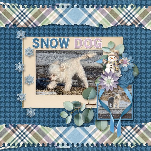Snow Dog