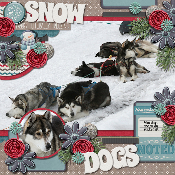 Snow Dogs