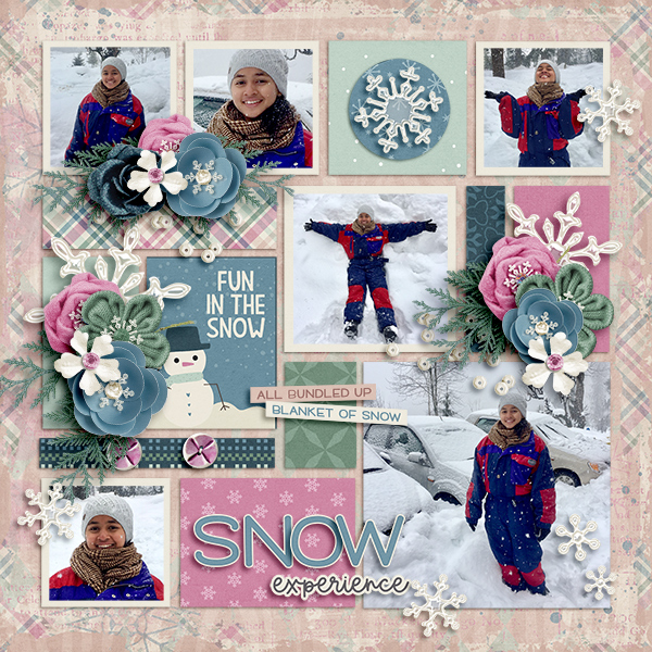 Snow Experience