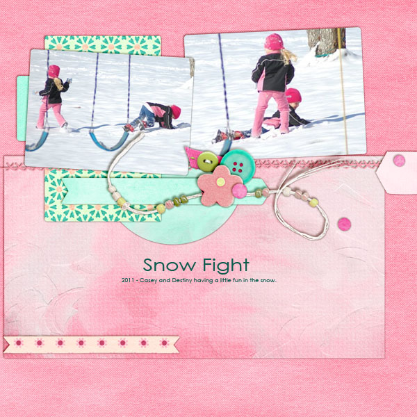 Snow Fight