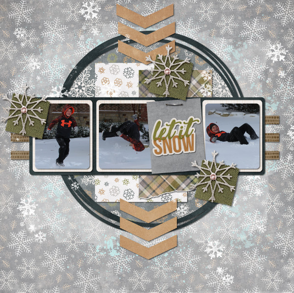 Snow Flip