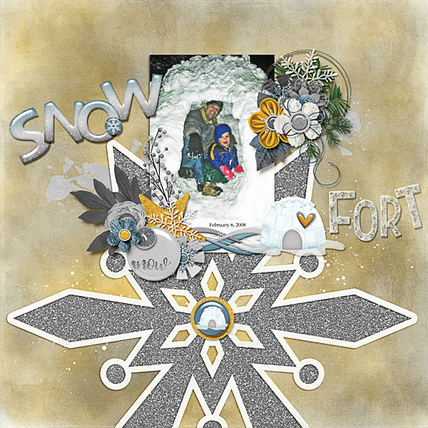Snow Fort