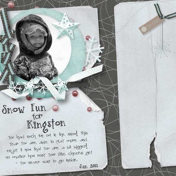 Snow Fun for Kingston
