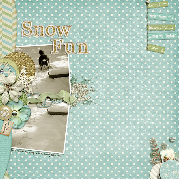 Snow Fun