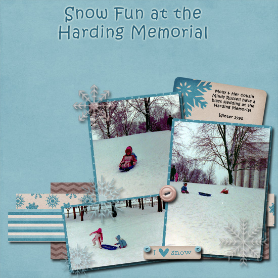 Snow Fun