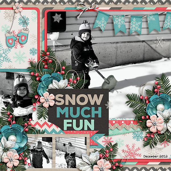Snow Fun