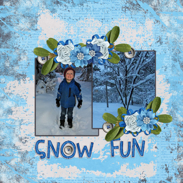 Snow Fun