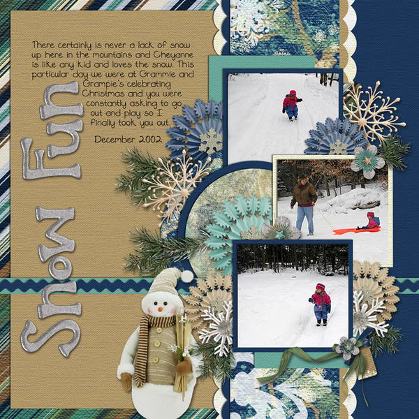 Snow Fun