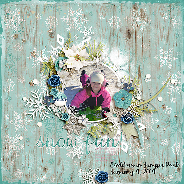 Snow Fun!