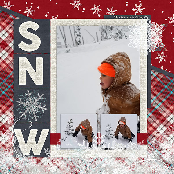 Snow Fun