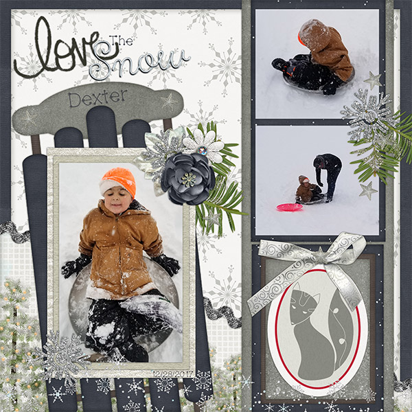 Snow Fun