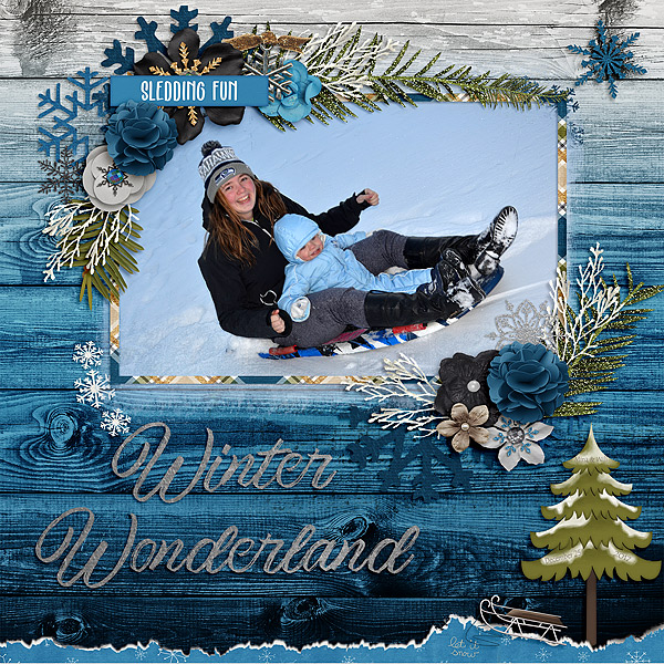 Snow Fun