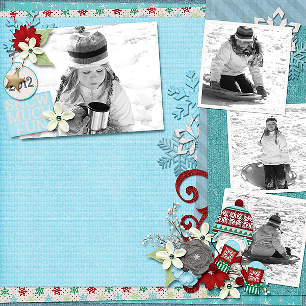 Snow Fun