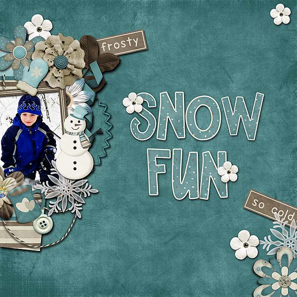 Snow Fun