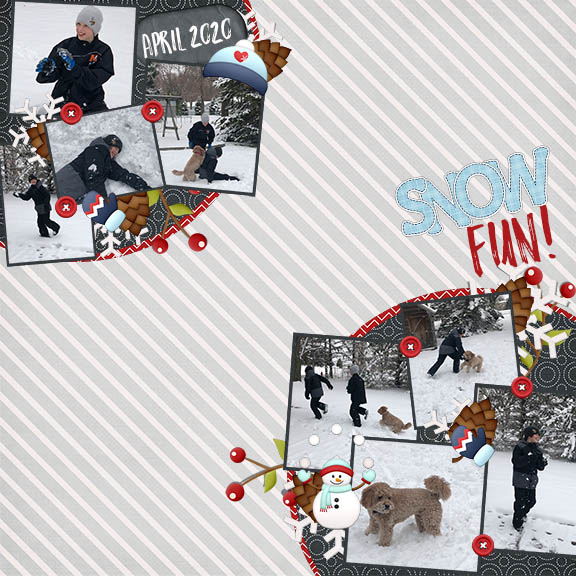 Snow Fun
