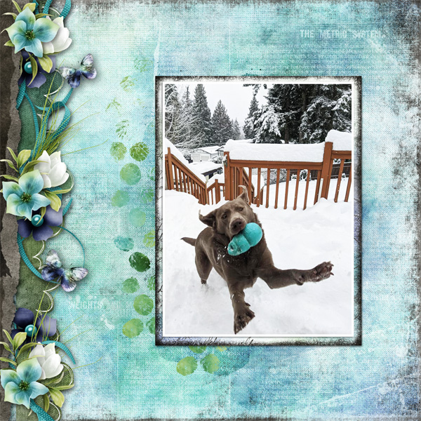Snow Fun