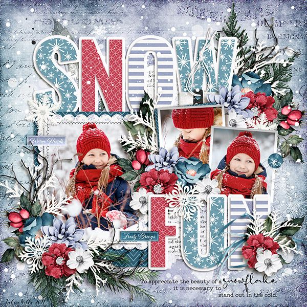 snow fun