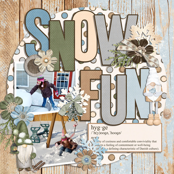 snow fun