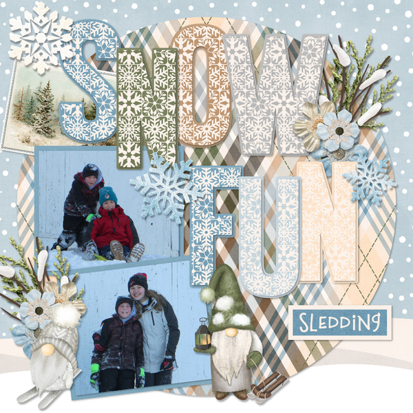 Snow Fun