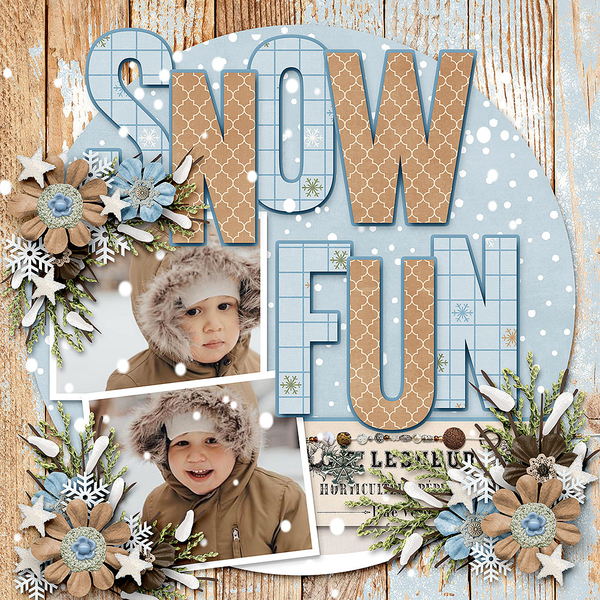 Snow Fun