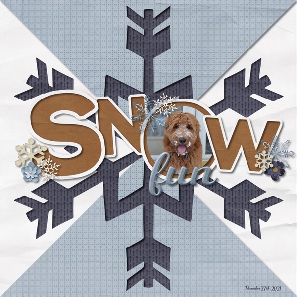 Snow fun