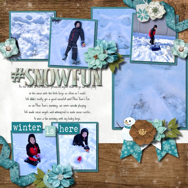 Snow Fun