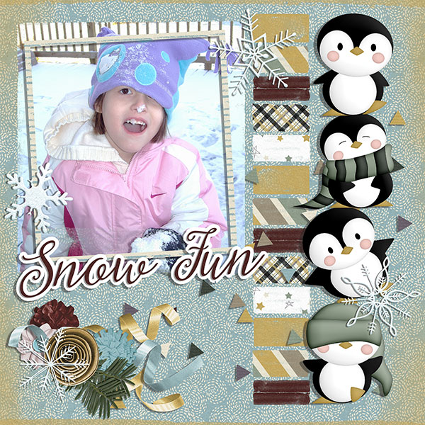 snow fun