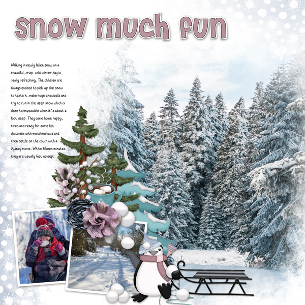 Snow fun