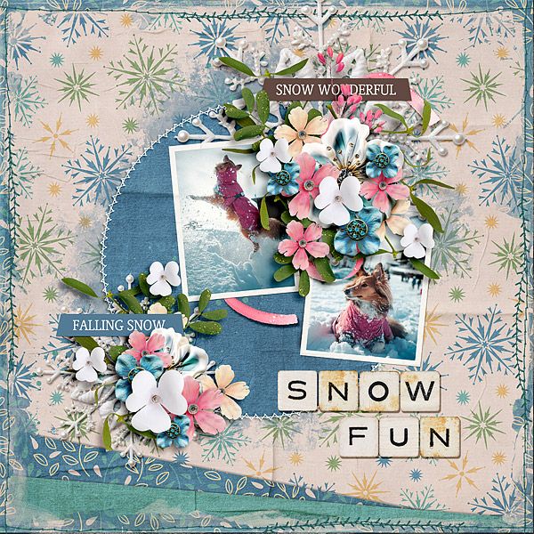Snow Fun